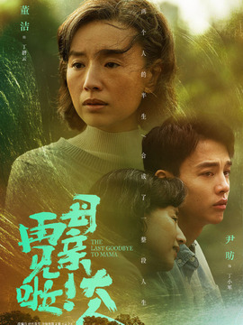 您好！母親大人