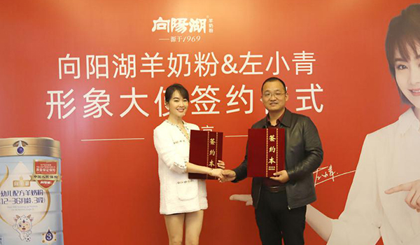 左小青代言向陽湖羊奶粉，攜手品牌再次升級